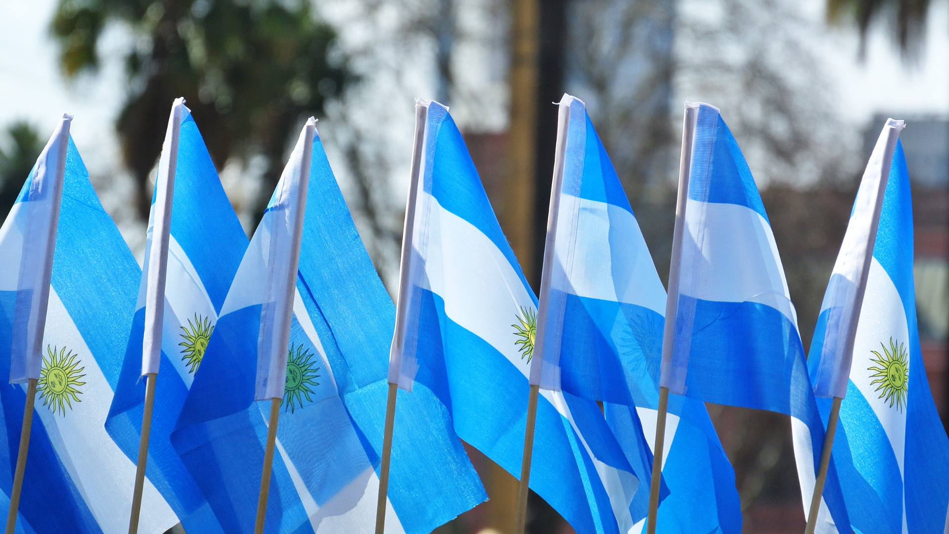 Une rangée de drapeau de l'Argentine. L'arrière-plan est flou, mais laisse apparaître des palmiers.
