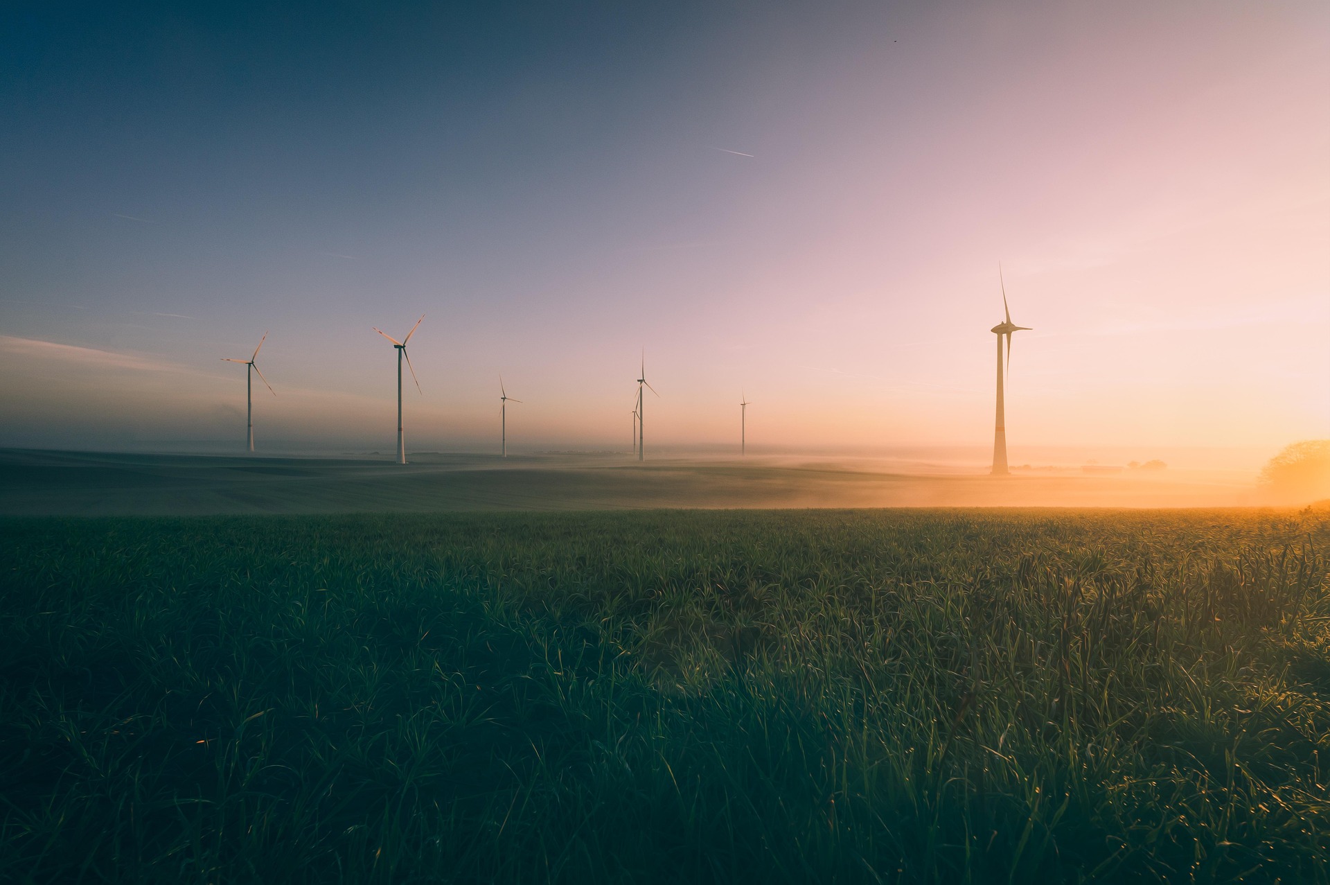 field of wind turbines in the countryside with a sweet morning light